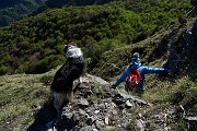 Sul CORNO ZUCCONE, guardiano della Val Taleggio, il 27 aprile 2016 - FOTOGALLERY